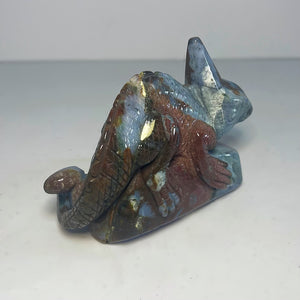 Ocean Jasper Lizard