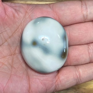 Orca Agate