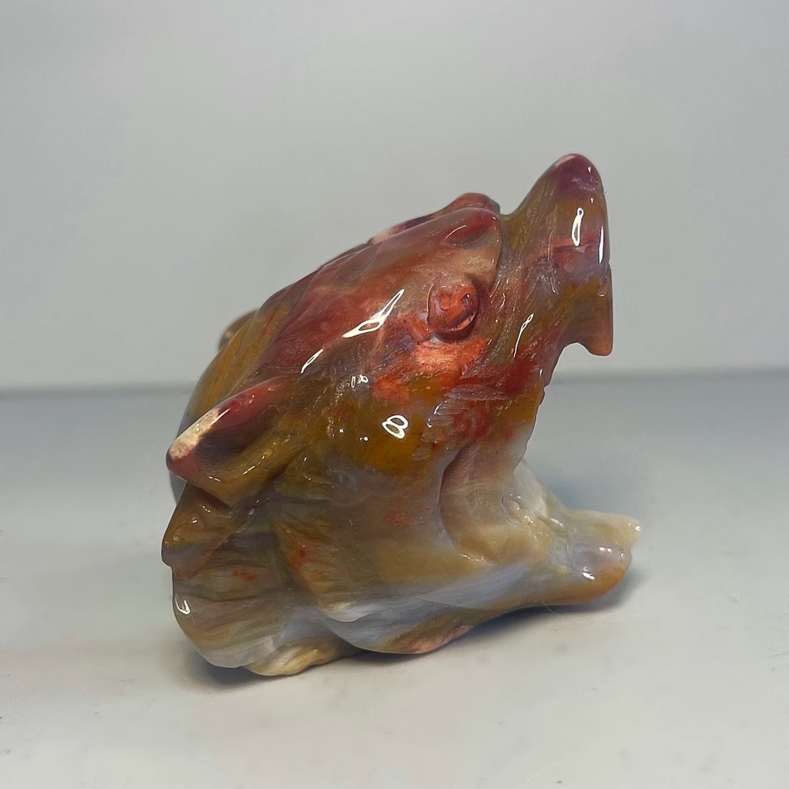 Ocean Jasper Tiger Head