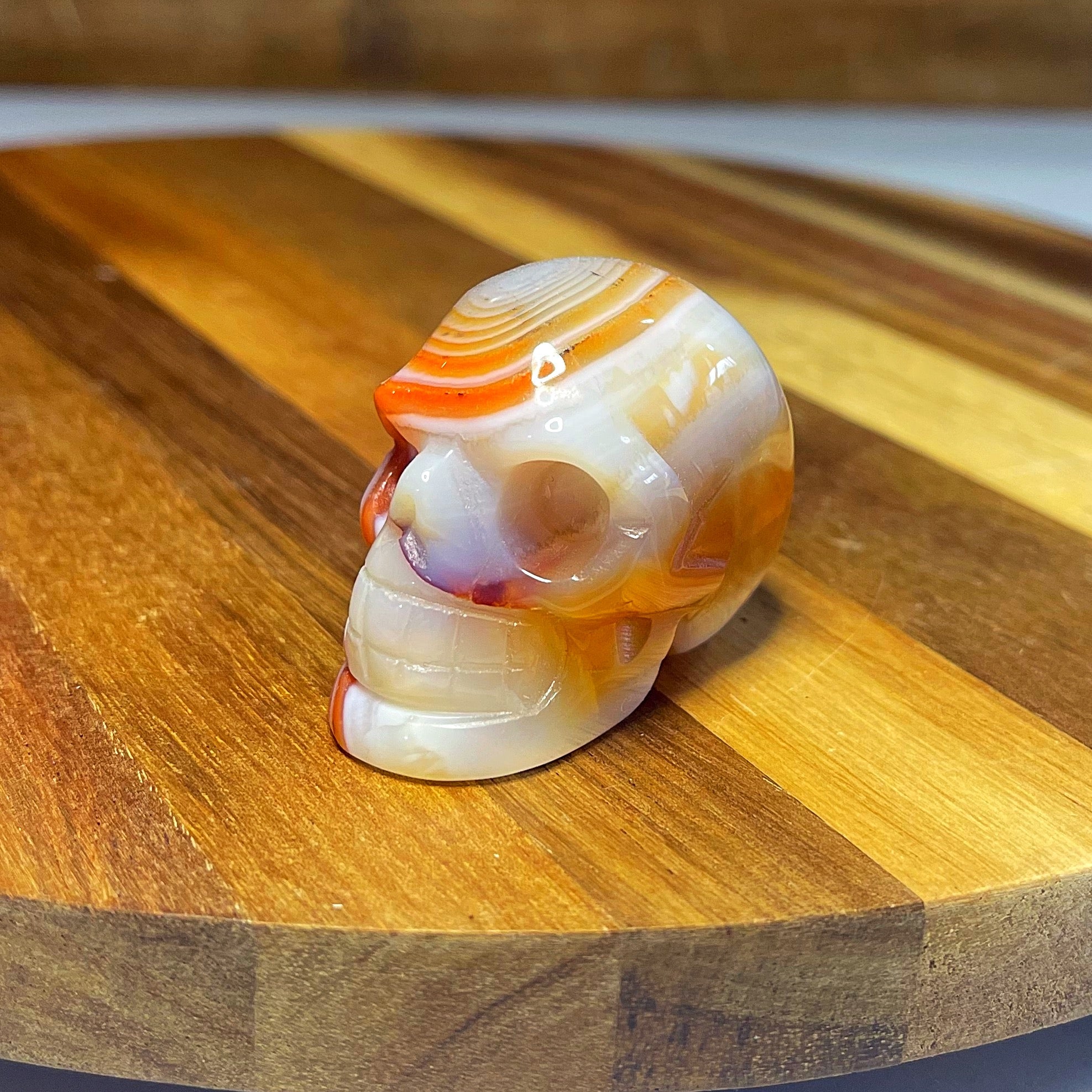 Sardonyx Skull
