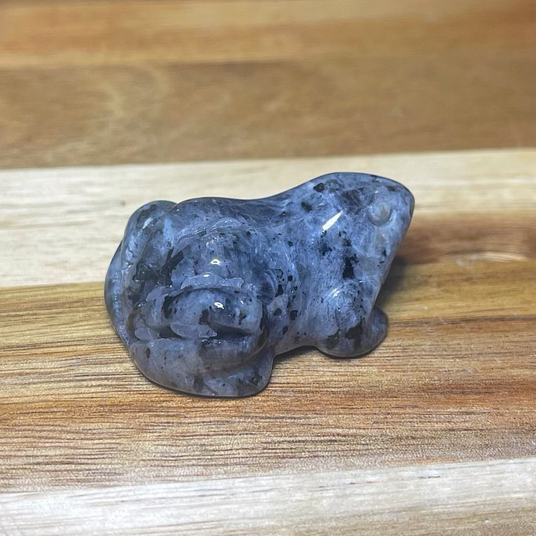 Larvikite Frog