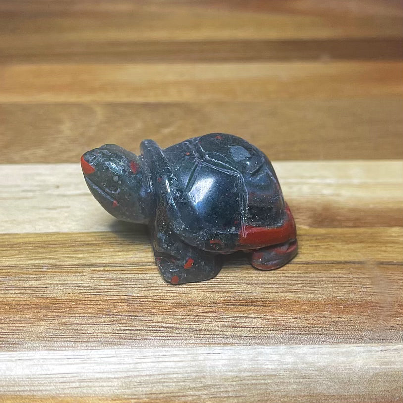 African Bloodstone Turtle